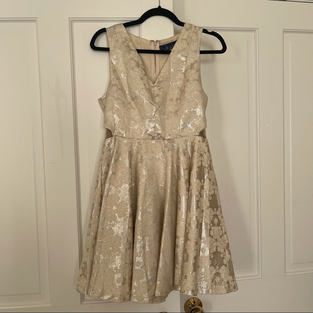 Francesca’s Dress